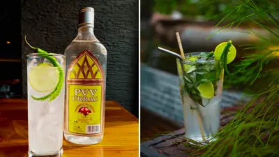 What Is Urrak? Goa's Hidden Seasonal Drink Everyone Talks About