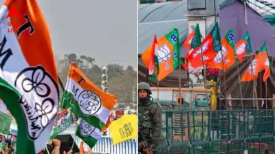 Attack On BJP: বিজেপি কর্মীর উপর 'হামলা', বাসন্তীতে অভিযোগের তির তৃণমূলের দিকে