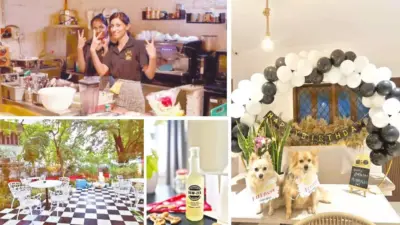 Pet-friendly cafes pop up in plush areas across city
