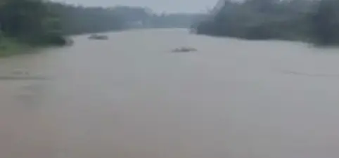 പൊരിങ്ങല്ക്കുത്ത് ഡാമില് ജലനിരപ്പ് ഉയരുന്നു: ക്രസ്റ്റ് ഗേറ്റുകള് തുറന്നു, ചാലക്കുടി പുഴയുടെ തീരത്തുള്ളവര്ക്ക് ജാഗ്രതാ നിര്ദ്ദേശം | Poringalkuthu Dam