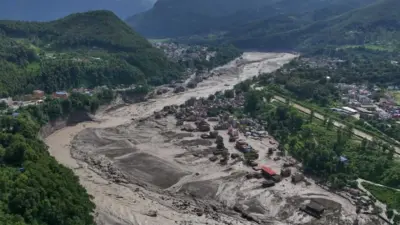 नेपाल में 8 साल के मासूम ने दिखाई गजब की हिम्मत, पेड़ पर चढ़कर मौत को दी मात