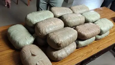 Mandya man held for smuggling narcotics in car; 111 kg ganja seized