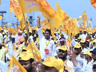 This TDP Supporters Question Is Totally Valid