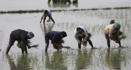 Tamil Nadu waives crop loans up to ₹75,000