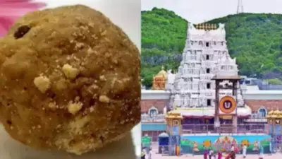 Tirupati Temple Laddus: Here's All You Need To Know About The Price, Cultural Significance, and Recent Controversy