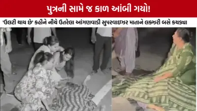 'મારી માની ડેડબોડી પડી છે.' અકસ્માત બાદ પોલીસ સામે પુત્રનો ભારે આક્રોશ