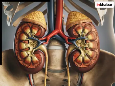 किडनी को बुढ़ापे तक हेल्दी रखने के लिए क्या करें? रोजमर्रा की ये 5 आदतें चुपचाप पहुंचा सकती हैं नुकसान