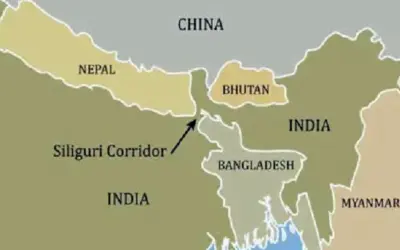ଚିକେନ୍ ନେକ୍ ପ୍ରତି ଆମ ଦରଦ