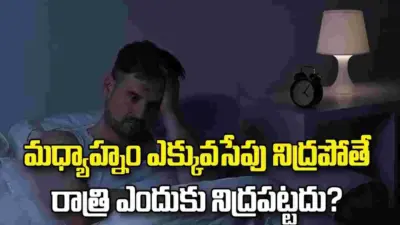 మధ్యాహ్నం ఎక్కువసేపు నిద్రపోతే రాత్రి ఎందుకు నిద్రపట్టదు? కారణం ఇదే!
