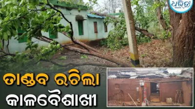 ତାଣ୍ଡବ ରଚିଲା କାଳବୈଶାଖୀ: ଉଡିଲା ଘର ଛପର, ଭାଙ୍ଗିଲା ବଡ଼ ବଡ଼ ଗଛ