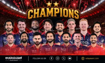 RCB crowned champions after defeating Gujarat Titans in thrilling final