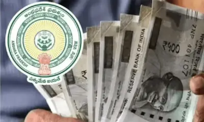 ఏపీలో కొత్త పెన్షన్ల మంజూరుపై కీలక నిర్ణయం