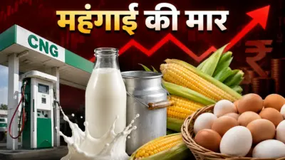 चीनी के बाद CNG, दूध और अंडे पर महंगाई की मार, जानें आपके घर का बजट कितना बिगड़ेगा