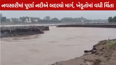 નવસારીમાં પૂર્ણા નદીએ બદલ્યો વહેણ, વિરાવળ પાસે નવો ફાંટો સર્જાતા ખેડૂતોમાં ચિંતા