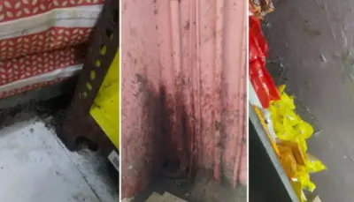 ब्लिंकइटच्या गोदामात झुरळेच झुरळे; परवाना रद्द