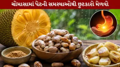 ચોમાસામાં પેટની સમસ્યાઓથી છો પરેશાન? ફણસના બીજનો આ દેશી ઉકાળો આપશે રાહત