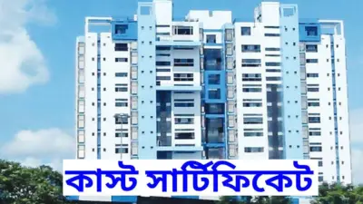 জাতিগত শংসাপত্রে বড়সড় যাচাই অভিযান, ১.২২ লক্ষ নথি খতিয়ে দেখে ১৩৫টি বাতিল; ৪৫ হাজারের বেশি শংসাপত্রে সন্দেহ