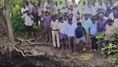 కుటుంబ కలహాలతో ఇద్దరు పిల్లలతో సహా బావిలో దూకి తల్లి ఆత్మహత్య!