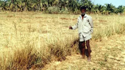 ಅನ್ನದ ಬಟ್ಟಲು: ಮಣ್ಣು - ನೀರಿನ ಆಪ್ತರಕ್ಷಕ ಲಾವಂಚ