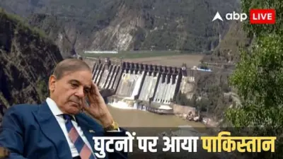 सिंधु जल संधि को लेकर फिर गिड़गिड़ाया पाकिस्तान, अंतरराष्ट्रीय मंच पर भारत से लगाई ये गुहार