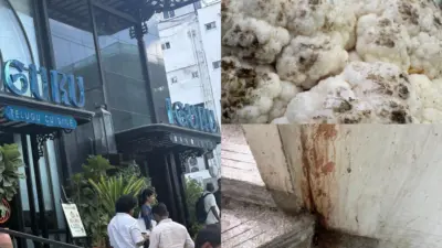 After AnTeRa Now Iguru: Hyderabad Food Lovers Shocked