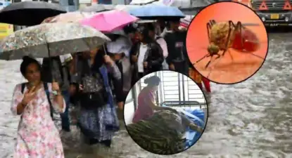 Mumbai Disease : मुंबईकरांनो सावधान! शहरात मलेरिया, ड्येंगूचे थैमान; रुग्णांची आकडेवारी चिंताजनक