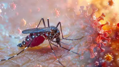 The Urban Lifestyle and Increasing Number of Dengue Cases: What Needs to Be Modified?