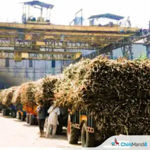 बीड : बिलातून परस्पर पाच हजारांची कपात केल्याचा ऊस वाहतुकदारांचा साखर कारखान्यावर आरोप