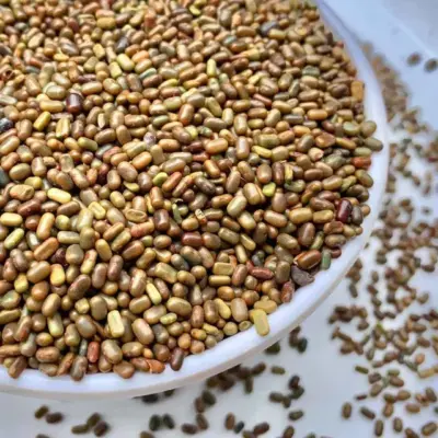 జీలుగ విత్తనాల కోసం అన్నదాతల ఎదురు చూపులు