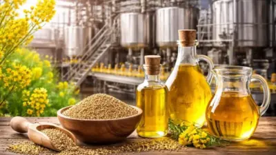 Mustard Oil Benefits: सरसों के तेल के इतने फायदे जानकर आप भी चौंक जाएंगे, जानें एक्सपर्ट की राय