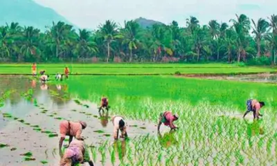 ఖరీఫ్ రైతులకు గుడ్న్యూస్.. సాగునీటిపై కీలక నిర్ణయం