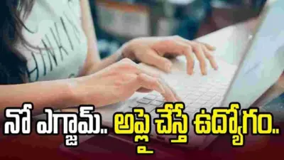 నో ఎగ్జామ్.. అప్లై చేస్తే చాలు.. నేరుగా సెంట్రల్ గవర్నమెంట్ జాబ్..