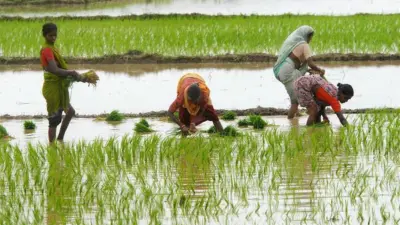 Ample fertilizer stocks cushion India against war-driven supply risks