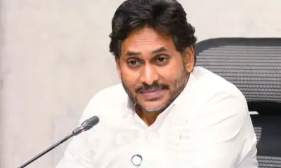 After Pawan Kalyan, Jagan Speaks On Cockroach Party!