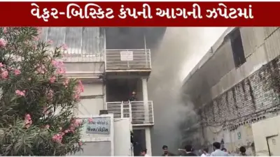 અમદાવાદ નરોડા GIDCમાં કંપનીમાં ભીષણ આગ