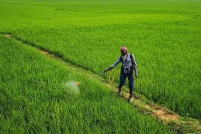 సన్న వడ్ల బోనస్ కొత్త నిబంధనలు ఇవే!