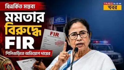Mamata Banerjee FIR: বিতর্কিত মন্তব্যের অভিযোগে মমতার বিরুদ্ধে ফের এফআইআর, শিলিগুড়ি সাইবার ক্রাইম থানায় মামলা