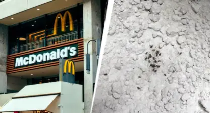 मॅकडोनाल्ड्ससह १३ आस्थापनांचे अन्न व्यवसाय परवाने निलंबित