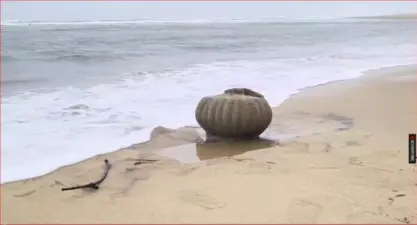 ଗଞ୍ଜାମ ପୁରୁଣା ପୋଡ଼ମପେଟା ସମୁଦ୍ର ବେଳାଭୂମିରୁ ଏକ ମନ୍ଦିରର ଚୁଳ ଦେଖି ଆଶ୍ଚର୍ଯ୍ୟ ଗ୍ରାମବାସୀ