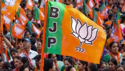 యాంటీ ఇండియా స్క్రిప్ట్ రాహుల్ - బిజెపి