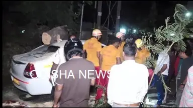 ରାଜଧାନୀରେ କାଳବୈଶାଖୀ ପ୍ରଭାବ, ଚଳନ୍ତା ଗାଡ଼ି ଉପରେ ପଡ଼ିଲା ଗଛ, ଚାରି ଆହତ