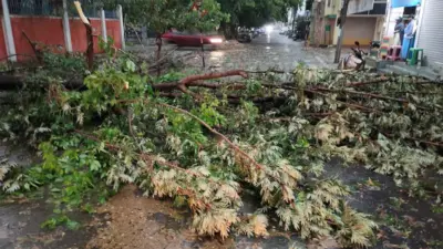 ఏపీలో అకాల వర్షాలకు ఐదుగురి మృతి