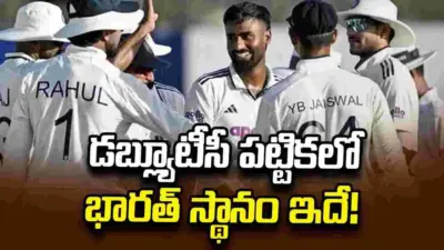 శ్రీలంకపై ఘన విజయం.. డబ్ల్యూటీసీ పట్టికలో భారత్ స్థానం ఇదే!
