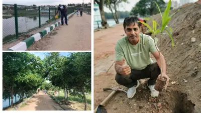 ಪ್ರಕೃತಿ ಮಡಿಲು: ಕೆರೆಗಳ ಅಂಗಳದಲ್ಲಿ 'ಹಸಿರು ಸುರಂಗ'