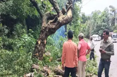 ಸಂಚಾರಕ್ಕೆ ತೊಡಕಾಗಿದ್ದ ಮರ ತೆರವು | Precautionary measure