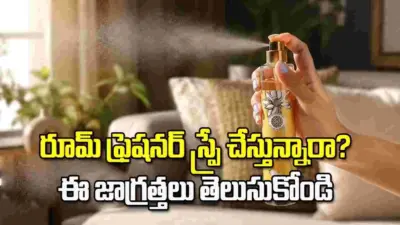 రూమ్ ఫ్రెషనర్లతో ఆరోగ్యానికి ముప్పా? నిపుణులు ఏం చెబుతున్నారంటే..