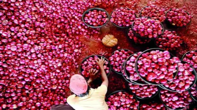 Onion Prices: कांदा का रडवतो?