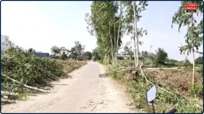 Gurdaspur protest : ਪੰਚਾਇਤੀ ਜ਼ਮੀਨ 'ਚੋਂ ਸਫ਼ੈਦੇ ਦੇ ਕੀਮਤੀ ਰੁੱਖ ਵੱਢਣ ਦਾ ਮਾਮਲਾ ਭੱਖਿਆ; ਪੁਲਿਸ ਨੇ ਲੱਕੜਾਂ ਨਾਲ ਭਰੀ ਗੱਡੀ ਲਈ ਕਬਜ਼ੇ 'ਚ
