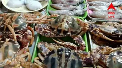 Food Hazard: 'শিঁকেয় স্বাস্থ্যবিধি', একাধিক রেস্তোরাঁ, হোটেলকে শোকজ
