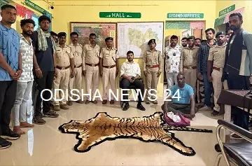 ୧୦ ଲକ୍ଷ ଟଙ୍କାରେ ମହାବଳ ବାଘଛାଲ ଡିଲ୍, ଜଣେ ଗିରଫ, ୨ ଫେରାର